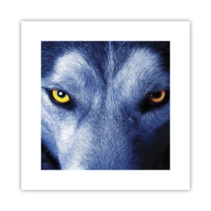 Affiche - Poster - Regars hypnotique - 30x30 cm