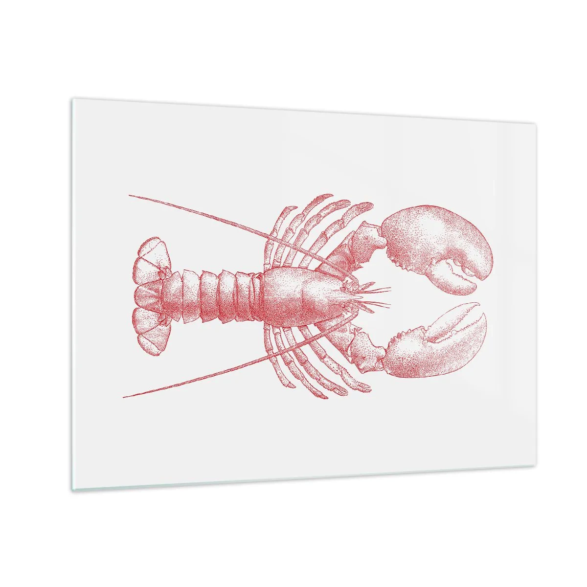 Impression sur verre - Image sur verre - Un homard digne d'Homère - 70x50 cm