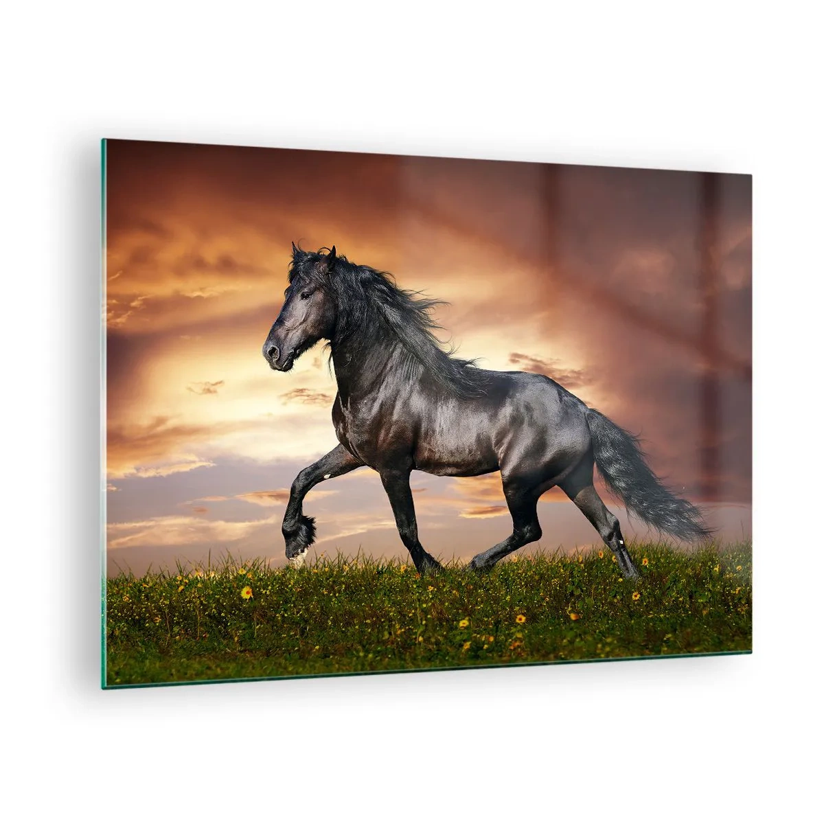 Impression sur verre - Image sur verre - Un cheval noir galopant contre le soleil couchant - 70x50cm - Livres noirs - Décoration murale moderne pour le salon et la chambre ARTTOR