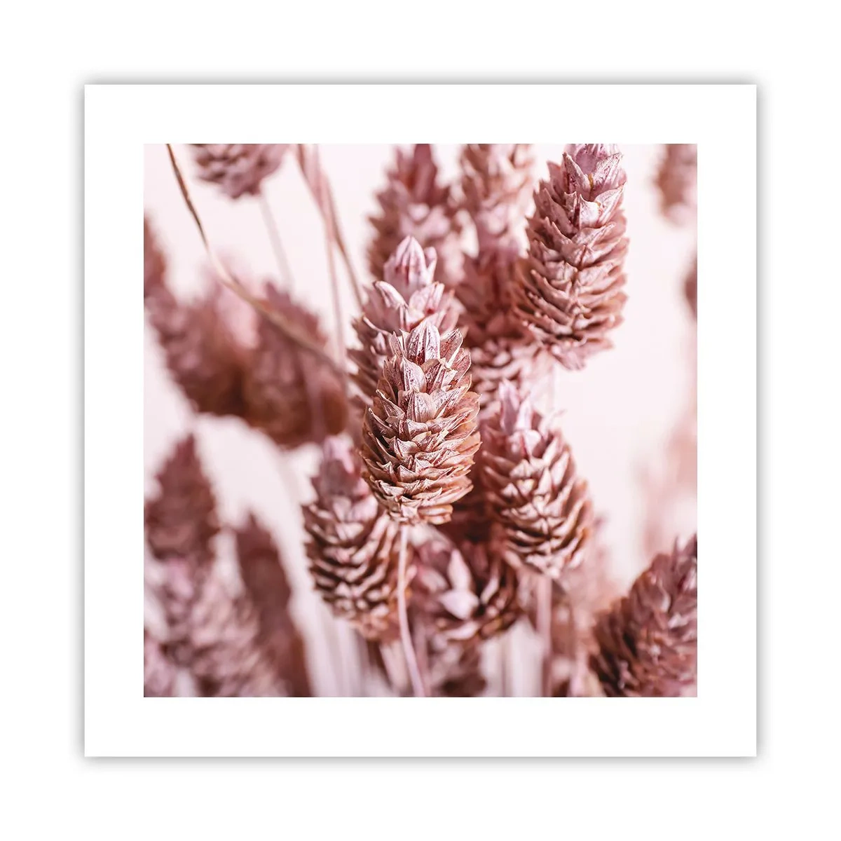 Affiche - Poster - Apparemment discret - 40x40 cm