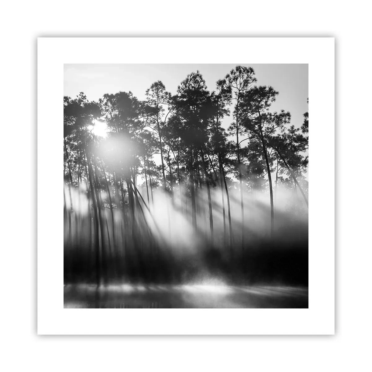 Affiche - Poster - Soleil inarrêtable - 40x40 cm