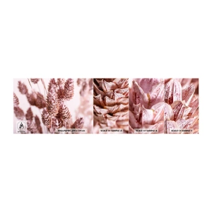 Échantillon de Papier Peint Autocollant Deluxe Sticker - Apparemment discret - Fleur séchée, Fleur, Prairie - 100x30 cm