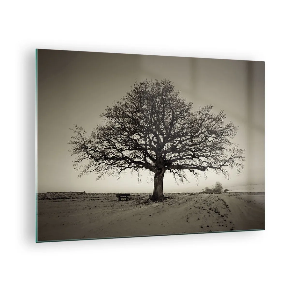 Impression sur verre - Image sur verre - Un arbre solitaire dans un paysage monochrome - 70x50cm - D'ici à l'éternité - Décoration murale moderne pour le salon et la chambre ARTTOR
