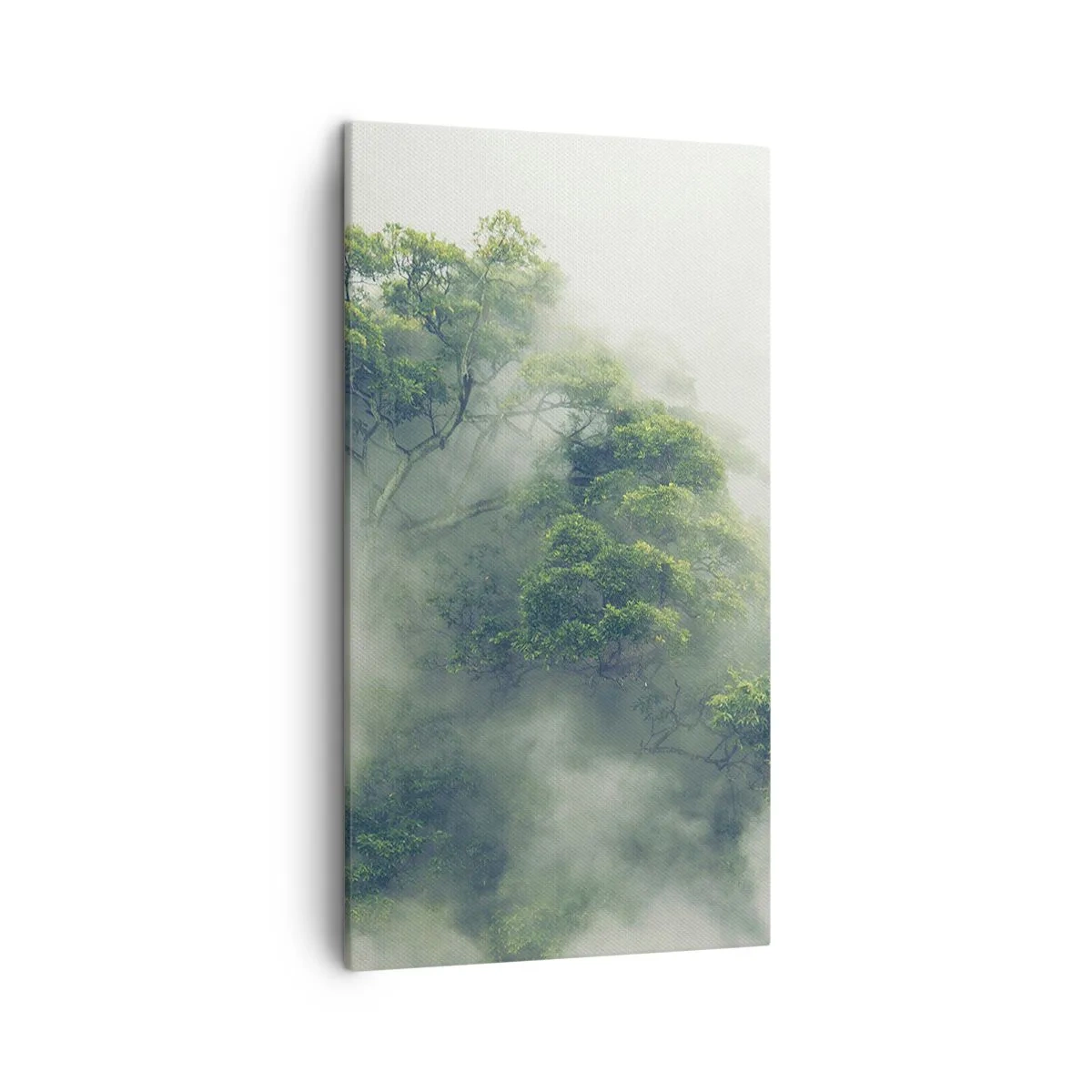 Impression sur toile - Image sur toile - Enveloppé de brouillard - 45x80 cm