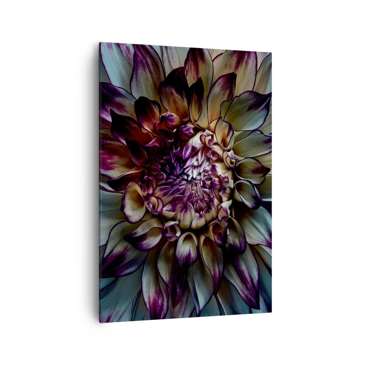 Impression sur toile - Image sur toile - Gros plan d'une fleur de dahlia dans des tons sombres - 70x100cm - L'apogée de la jeunesse - Décoration murale moderne pour le salon et la chambre ARTTOR