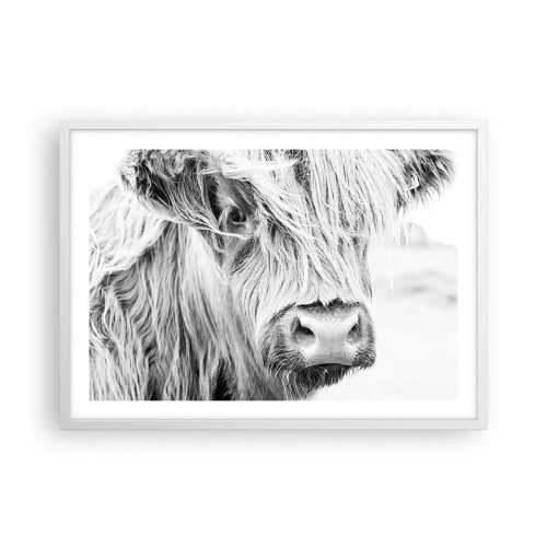 Affiche dans un cadre blanc - Poster - Sauvagerie écossaise - 70x50 cm