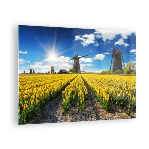Impression sur verre - Image sur verre - Un champ de tulipes jaunes avec des moulins à vent en arrière-plan par une journée ensoleillée. - 70x50cm - Ça ne pourrait pas être plus hollandais - Décoration murale moderne pour le salon et la chambre ARTTOR