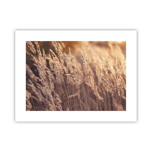 Affiche - Poster - Prêt à accueillir l'automne - 40x30 cm