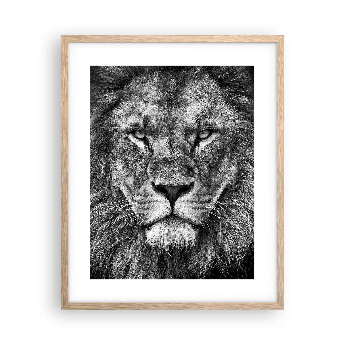 Affiche dans un chêne clair - Poster - En vêtement de sacre - 40x50 cm