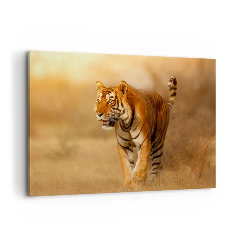 Impression sur toile - Image sur toile - Un tigre marchant dans la savane aux couleurs chaudes - 100x70cm - Avant l'attaque - Décoration murale moderne pour le salon et la chambre ARTTOR