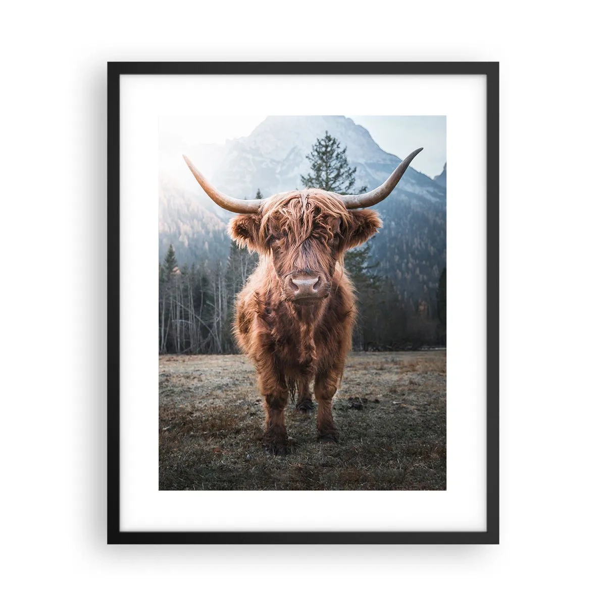 Affiche dans un cadre noir - Poster - Salutations des prairies de montagne - 40x50 cm