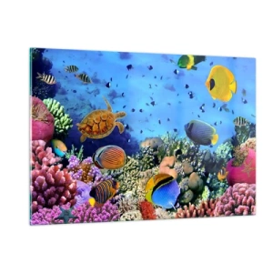 Impression sur verre - Image sur verre - Des poissons colorés et une tortue de mer contre un récif corallien - 120x80cm - Et que sait-on de la vie… - Décoration murale moderne pour le salon et la chambre ARTTOR