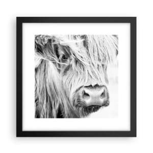 Affiche dans un cadre noir - Poster - Sauvagerie écossaise - 30x30 cm
