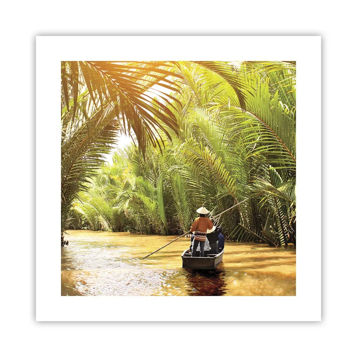 Affiche - Poster - Ravin de palmier - 40x40 cm