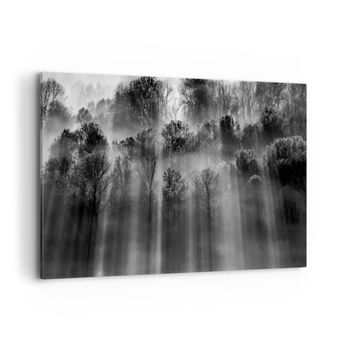 Impression sur toile - Image sur toile - Forêt noire et blanche dans la lumière du matin - 120x80cm - Dans les flots de lumière - Décoration murale moderne pour le salon et la chambre ARTTOR