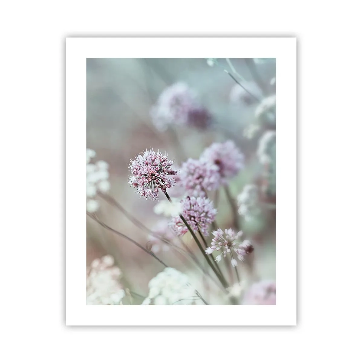 Affiche - Poster - Herbes douces en filigrane - 40x50 cm