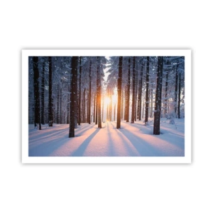 Affiche - Poster - Clairement en noir et blanc - 91x61 cm