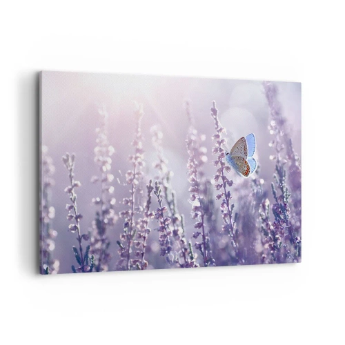 Impression sur toile - Image sur toile - Un papillon sur une lavande en fleurs dans la lumière du matin - 100x70cm - Baiser de papillon - Décoration murale moderne pour le salon et la chambre ARTTOR