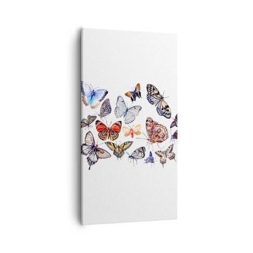 Impression sur toile - Image sur toile - Essaim de dentelle et de couleurs - 55x100 cm