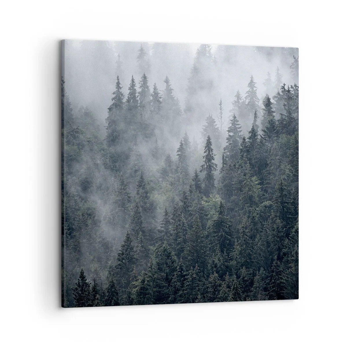 Impression sur toile - Image sur toile - Aube de la forêt - 50x50 cm