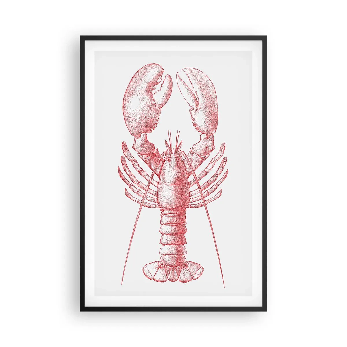 Affiche dans un cadre noir - Poster - Un homard digne d'Homère - 61x91 cm
