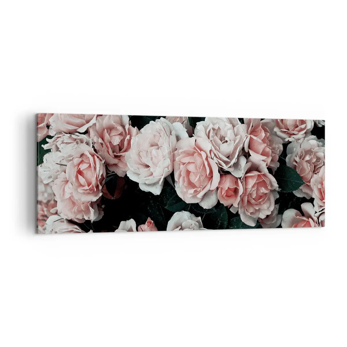 Impression sur toile - Image sur toile - Roses roses sur fond sombre dans une composition subtile - 140x50cm - Ensemble de rose - Décoration murale moderne pour le salon et la chambre ARTTOR