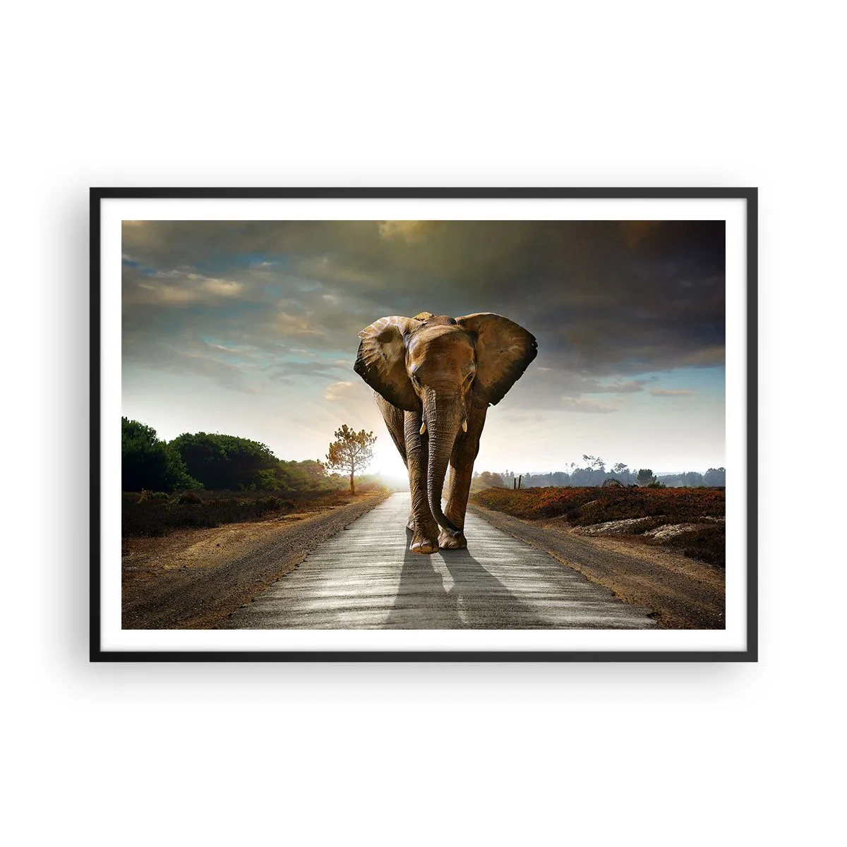 Affiche dans un cadre noir - Poster - Un éléphant marchant le long d'une route à travers un paysage au coucher du soleil - 100x70cm - Et pas du tout en porcelaine - Décoration murale moderne pour le salon et la chambre ARTTOR