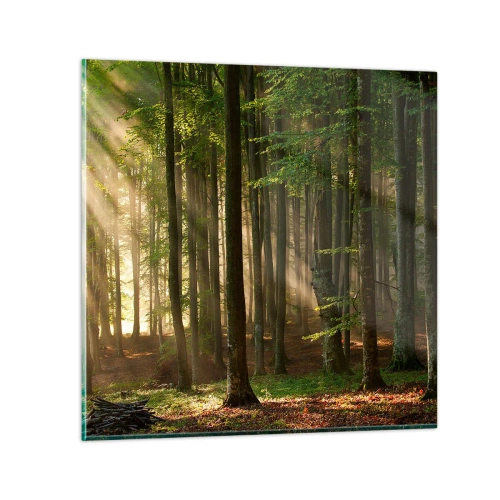 Impression sur verre - Image sur verre - Rayon d'un matin de printemps - 30x30 cm