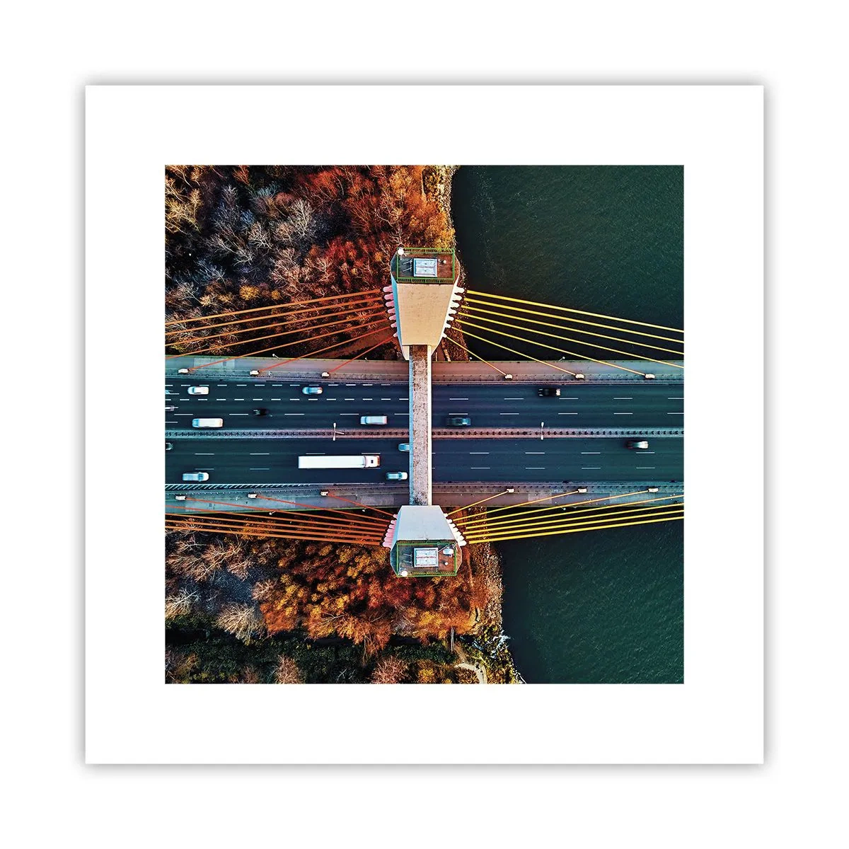 Affiche - Poster - Au dessus de l'eau et de la forêt - 30x30 cm