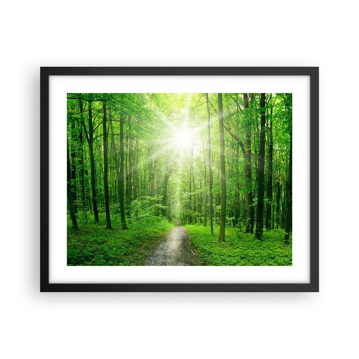 Affiche dans un cadre noir - Poster - Cathédrale verte - 50x40 cm