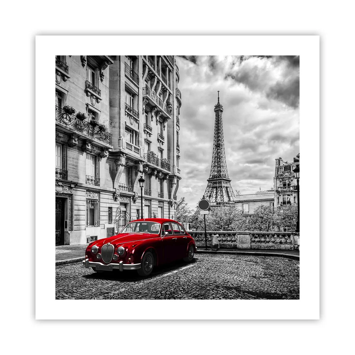 Affiche - Poster - Prédateur dans la ville - 50x50 cm