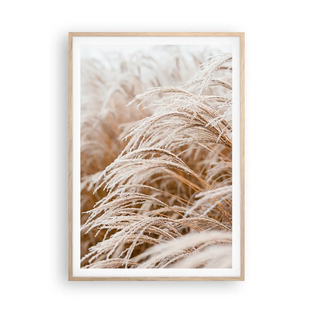 Affiche dans un chêne clair - Poster - Prosternez-vous devant le soleil d'automne - 70x100 cm