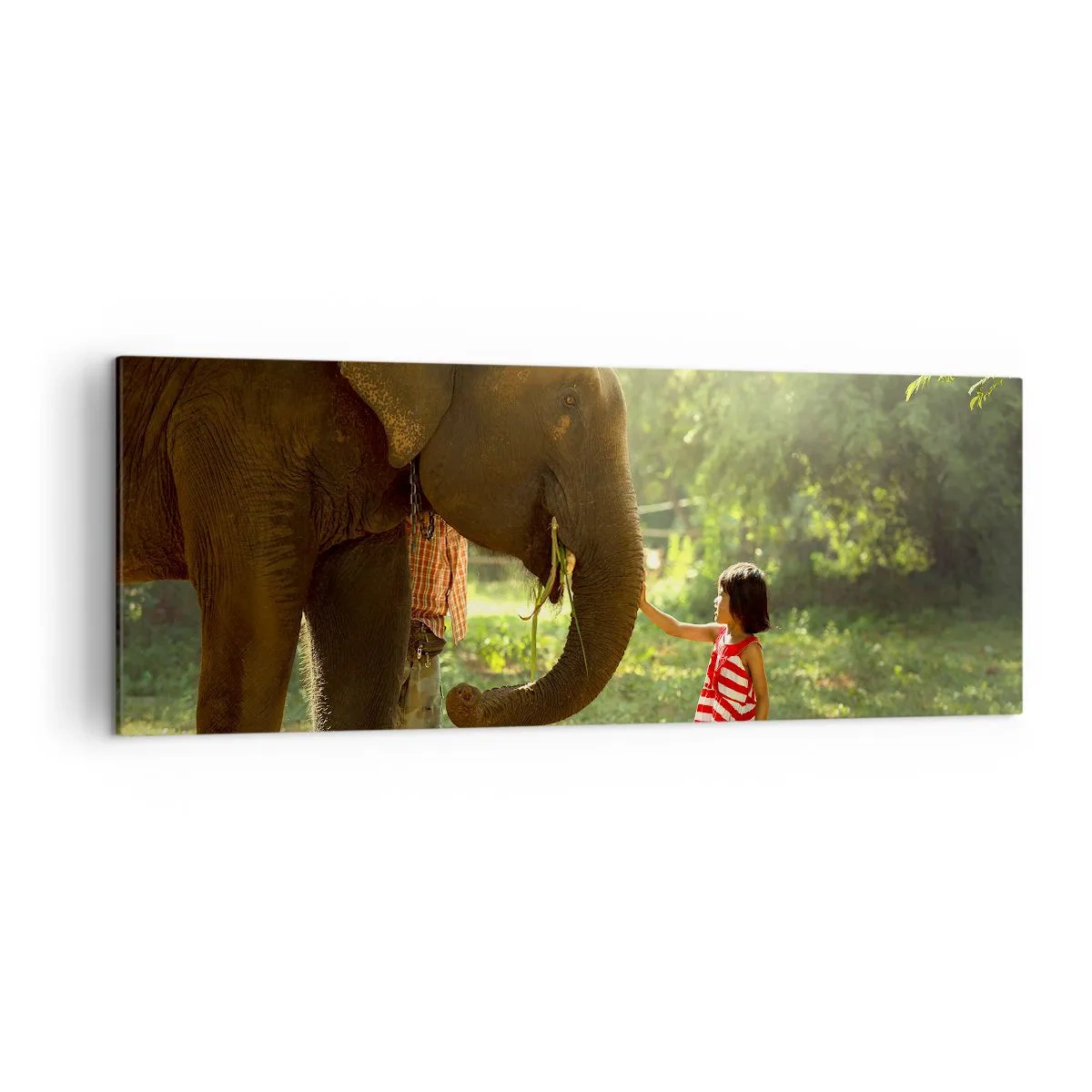 Impression sur toile - Image sur toile - Une fille en robe rouge touchant un éléphant dans la forêt. - 140x50cm - La force de l'amitié - Décoration murale moderne pour le salon et la chambre ARTTOR