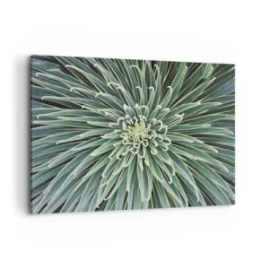 Impression sur toile - Image sur toile - Disposition symétrique de feuilles vertes ressemblant à une étoile - 100x70cm - Naissance d'une étoile - Décoration murale moderne pour le salon et la chambre ARTTOR
