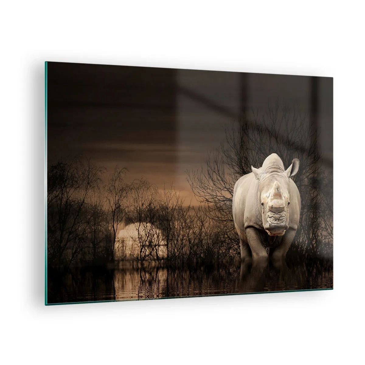 Impression sur verre - Image sur verre - Rhinocéros contre le soleil couchant - 70x50cm - Blanc contre nature - Décoration murale moderne pour le salon et la chambre ARTTOR