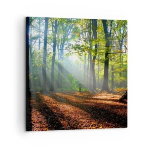 Impression sur toile - Image sur toile - Ombres et lumières - 60x60 cm