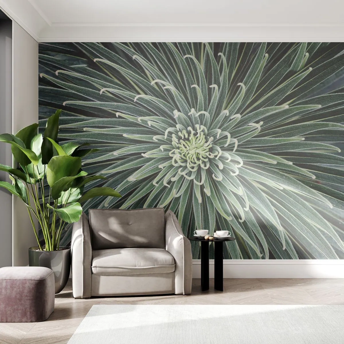 Papier Peint Photo Premium Sand - Naissance d'une étoile - Fleur d'agave, Agave, Fleurs - 100x70 cm