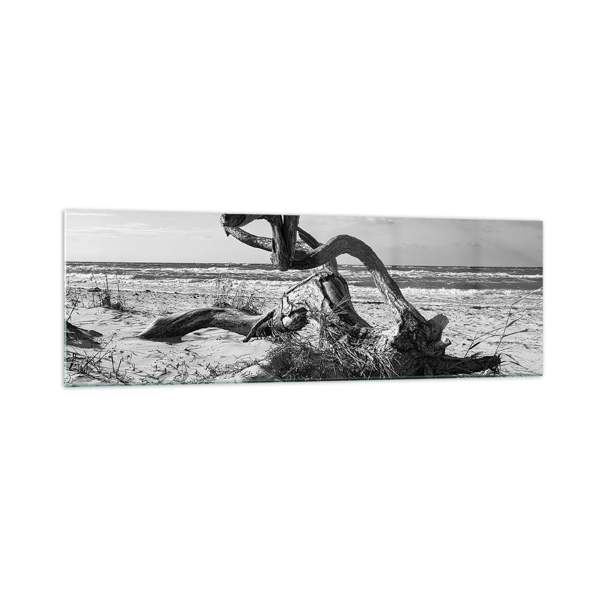Impression sur verre - Image sur verre - Paysage noir et blanc avec un arbre mort sur la plage - 160x50cm - Sculpture marine - Décoration murale moderne pour le salon et la chambre ARTTOR