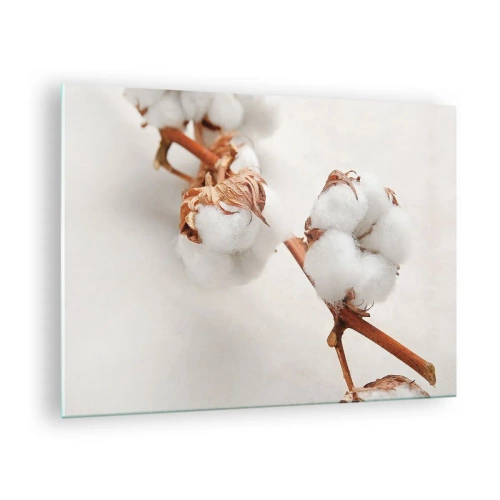Impression sur verre - Image sur verre - Gros plan d'une branche de coton sur un fond clair - 70x50cm - Seulement caliner - Décoration murale moderne pour le salon et la chambre ARTTOR