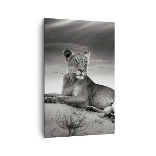 Impression sur toile - Image sur toile - Portrait noir et blanc d'une lionne dans la savane - 80x120cm - La reine du désert reste - Décoration murale moderne pour le salon et la chambre ARTTOR