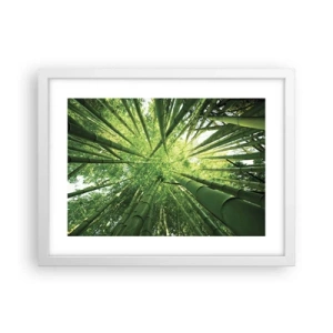 Affiche dans un cadre blanc - Poster - Dans une bambouseraie - 40x30 cm
