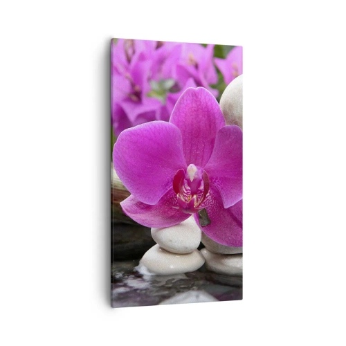 Impression sur toile - Image sur toile - Tu te reposes déjà - 55x100 cm