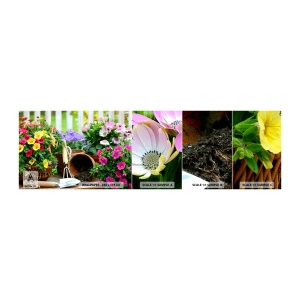 Échantillon de Papier Peint Autocollant Deluxe Sticker - Le jardin de Zosia - Fleurs, Jardin, Bouquet de fleurs - 100x30 cm
