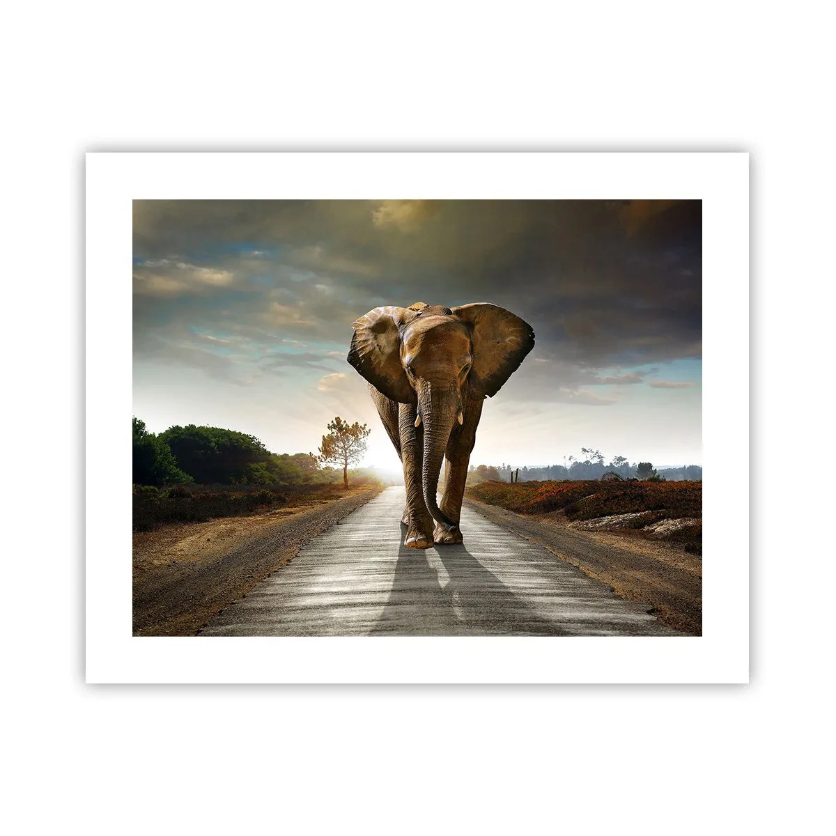 Affiche - Poster - Et pas du tout en porcelaine - 50x40 cm