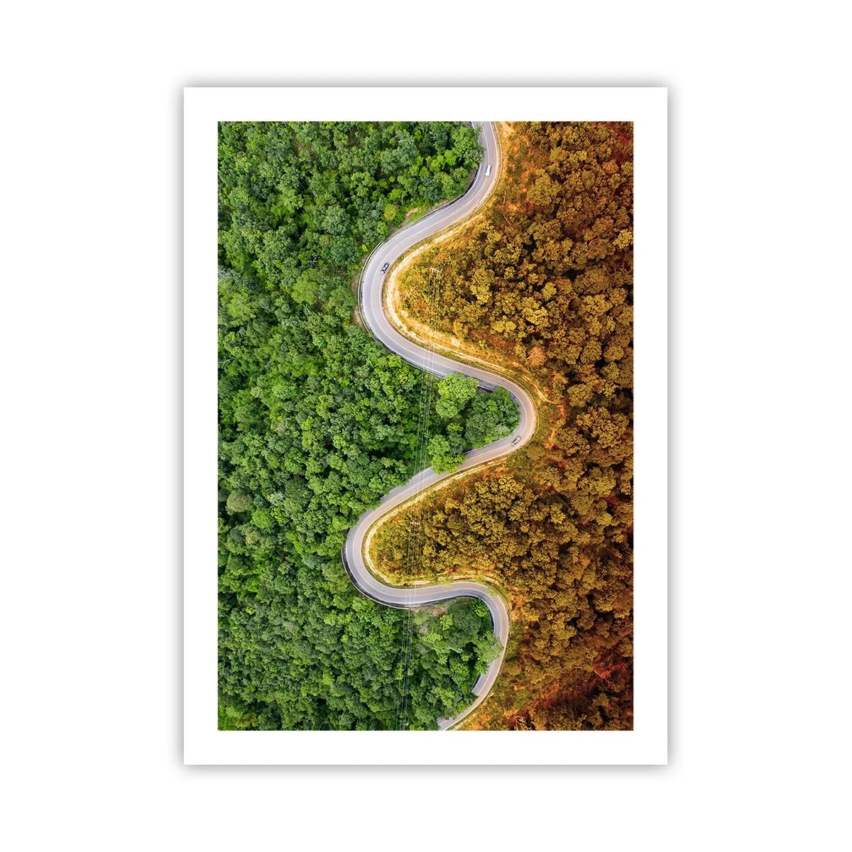 Affiche - Poster - Une route sinueuse à travers une forêt divisée en parties vertes et automnales - 50x70cm - Frontieres et differences - Décoration murale moderne pour le salon et la chambre ARTTOR