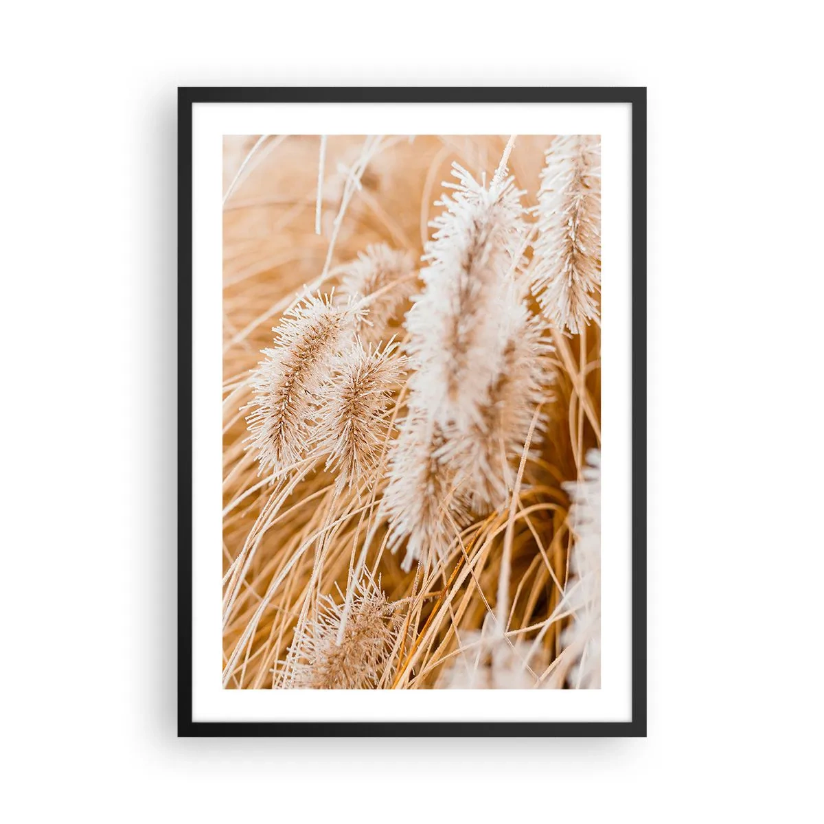 Affiche dans un cadre noir - Poster - Épis d'herbe délicats dans des tons pastel de beige - 50x70cm - Le bruissement doré de l'herbe - Décoration murale moderne pour le salon et la chambre ARTTOR