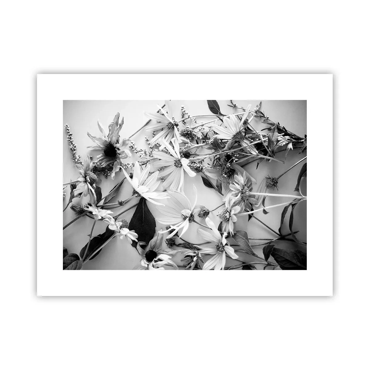 Affiche - Poster - Non-un bouquet de fleurs - 40x30 cm