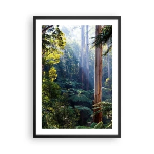 Affiche dans un cadre noir - Poster - Forêt tropicale illuminée par la lumière du soleil - 50x70cm - Fable de la forêt - Décoration murale moderne pour le salon et la chambre ARTTOR