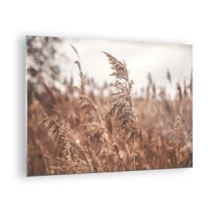 Impression sur verre - Image sur verre - Herbes séchées dans le vent dans la lumière d'automne de la nature - 70x50cm - C'est déjà l'automne dans les champs - Décoration murale moderne pour le salon et la chambre ARTTOR
