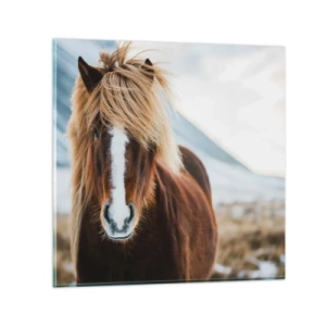 Impression sur verre - Image sur verre - Sentez-vous la liberté ? - 70x70 cm